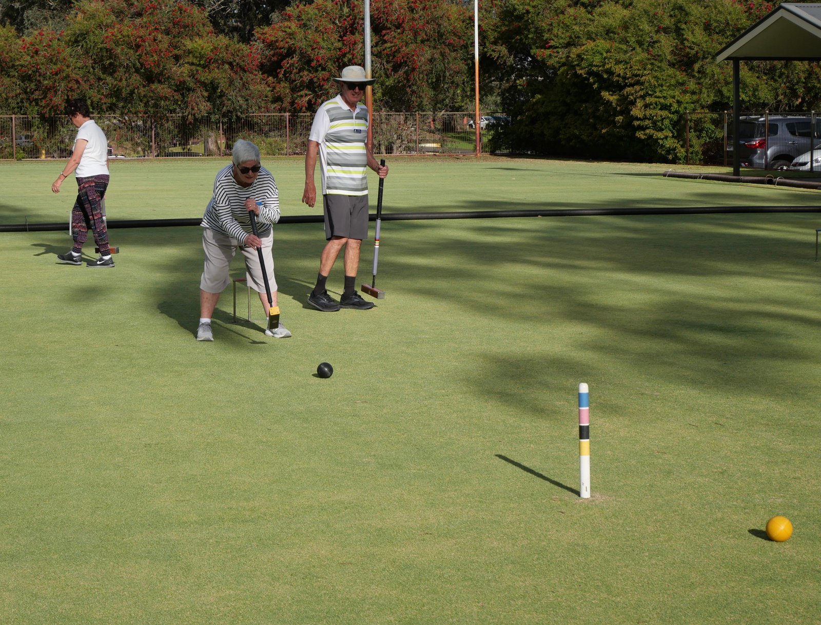 Members playing a Golf Croquet session on the lawn
